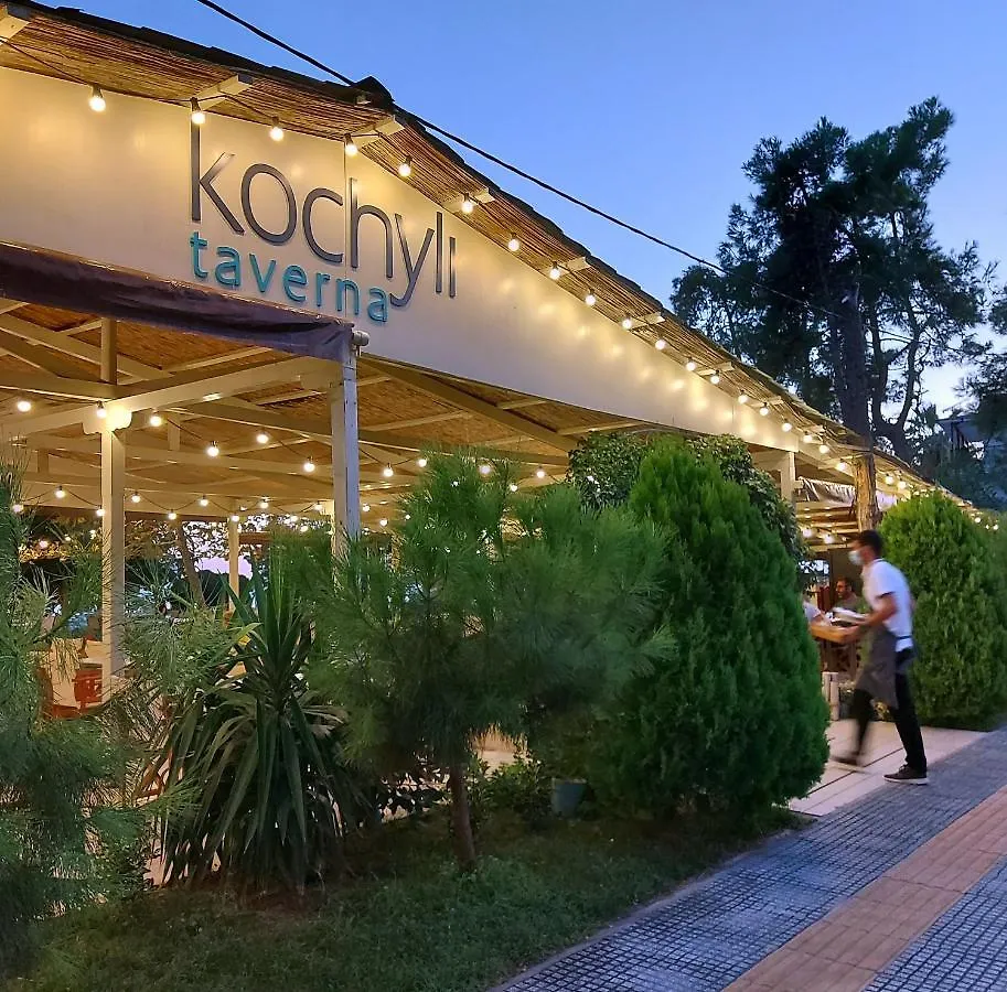 アパート Kochyli Beach Studios ネア・プラギア ギリシャ